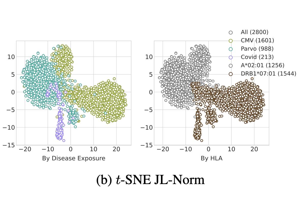 Scalable Universal T-cell receptor embeddings from Adaptive Immune Repertoires