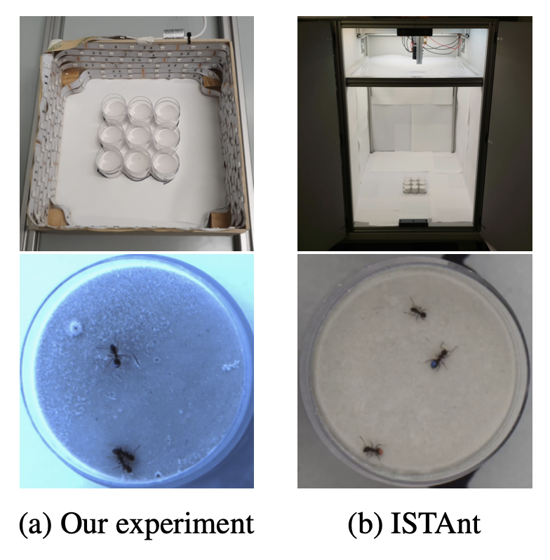 Prediction-powered Causal Inferences